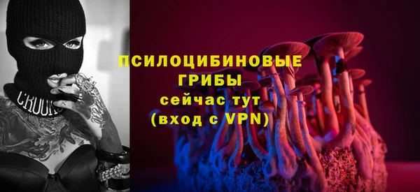 прущие крисы Абаза
